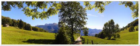 OnlyPositiveNRG - Trail Monti 0005